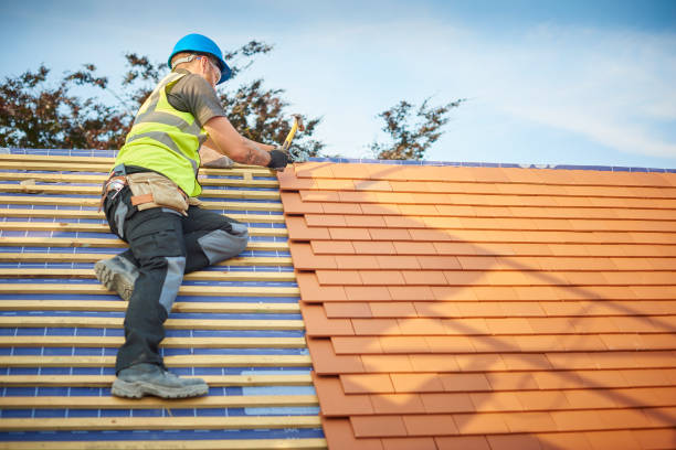 Best Rubber Roofing (EPDM, TPO)  in Genesee, CO